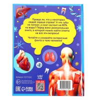 Энциклопедия в твёрдом переплёте &laquo;200 фактов о теле человека&raquo;, 48 стр.