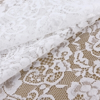 Кружевная эластичная ткань, 185 мм &times; 2,7 &plusmn; 0,5 м, цвет белый