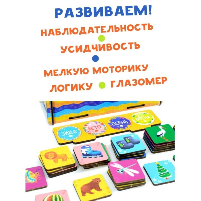 Развивающая игра &laquo;Сортер: Окружающий мир&raquo; 32 фишки