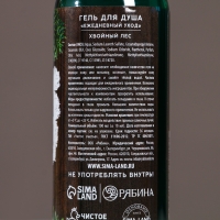 Набор "Богатства и успеха", мини гель для душа и мочалка