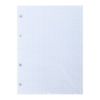 Сменный блок для тетрадей на кольцах А5, 80 листов в клетку, белый, 60 г/м2 Сменный блок для тетрадей на кольцах А5, 80 листов в клетку, белый, 60 г/м2