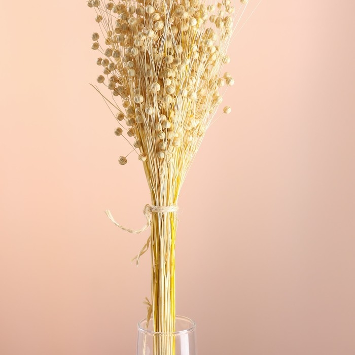 Набор сухоцветов Набор сухоцветов "Лён-долгунец", банч длина 55-60 (+/- 6 см), выбеленный