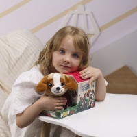 Мягкая игрушка &laquo;Собачка в будке&raquo;