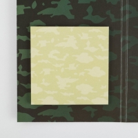 Подарочный набор &laquo;С Днем Защитника Отечества&raquo;: ручка пластик с фигурным клипом и стикеры