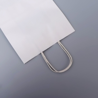 Пакет белый без печати, круглая ручка, 27 х 21 х 11 см, 120 г Пакет белый без печати, круглая ручка, 27 х 21 х 11 см, 120 г