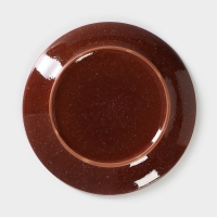 Тарелка плоская &laquo;Мрамор&raquo;, d=24 см