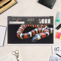 Календарь квартальный Премиум трио "Символ года - 1" 2025 год, 32 х 84 см Календарь квартальный Премиум трио "Символ года - 1" 2025 год, 32 х 84 см