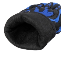 Перчатки мотоциклетные, зимние, размер L, синий Перчатки мотоциклетные, зимние, размер L, синий