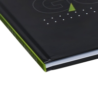 Дневник для 5-11 классов "Футбол. Мяч", твёрдая обложка, глянцевая ламинация, 48 листов Дневник для 5-11 классов "Футбол. Мяч", твёрдая обложка, глянцевая ламинация, 48 листов