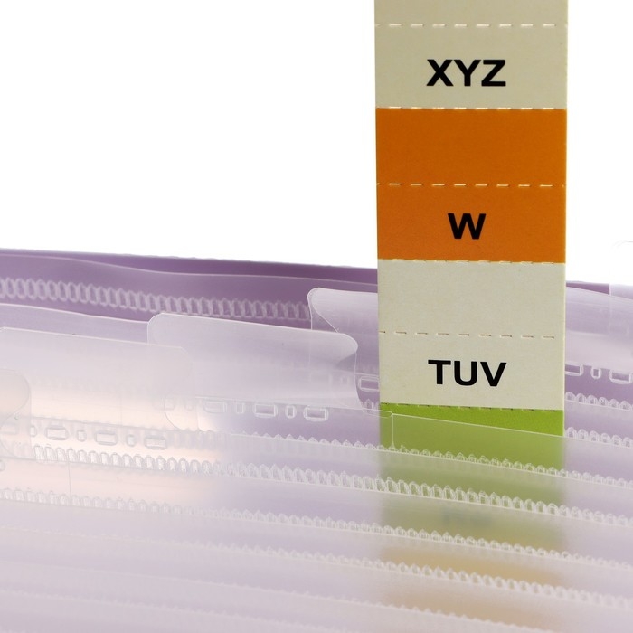 Папка для бумаги А4 пластиковая Calligrata, 12 отделений, фиолетовая