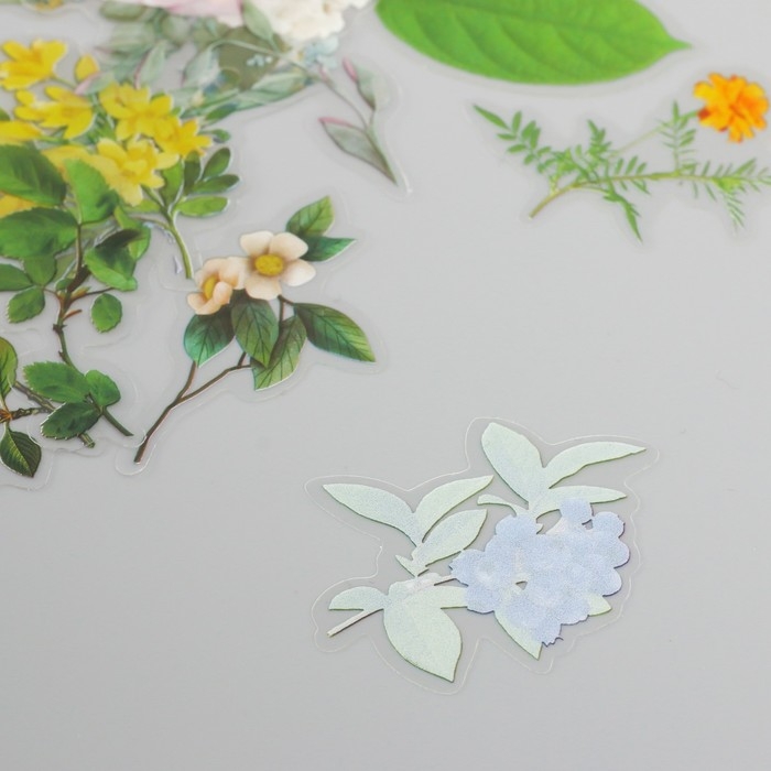 Наклейки для творчества пластик PVC "Воспоминания о путешествии" набор 60 шт 10х14 см