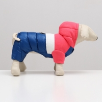 Комбинезон "Эльф", размер 12 (ДС 28 см, ОГ 38 см, ОШ 27 см), розово-синий