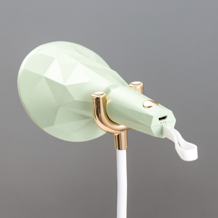 Настольная лампа Настольная лампа "Делсер" LED 3Вт USB АКБ зелёный 14х13х39 см RISALUX