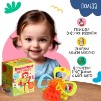 Развивающая игрушка «Волшебный цветочек» Развивающая игрушка «Волшебный цветочек»