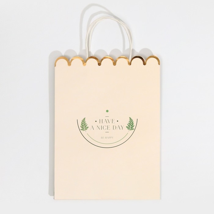 Пакет подарочный крафтовый, упаковка, &laquo;Nice day&raquo;, 23 х 30 х 12 см