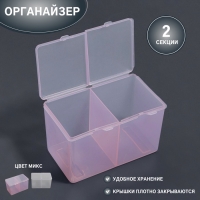 Органайзер для хранения, с крышкой, 2 секции, 6,7 × 12,5 × 7,5 см, цвет МИКС Органайзер для хранения, с крышкой, 2 секции, 6,7 × 12,5 × 7,5 см, цвет МИКС