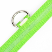 Ошейник с подсветкой размер S, ОШ 35-43 х 2,5 см, 3 режима свечения зелёный