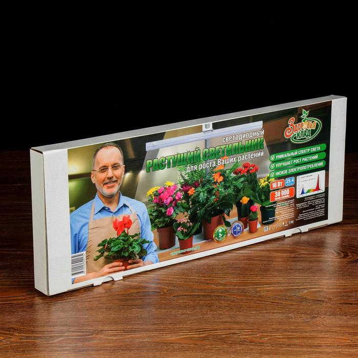 Фитосветильник &laquo;Растущий светильник&raquo;, 16 Вт, 220 В, 560 &times; 220 &times; 560 мм, на подставке