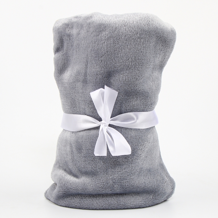 Набор подарочный: Комфортер 27 см + плед 71х125 см, &laquo;Енот&raquo;