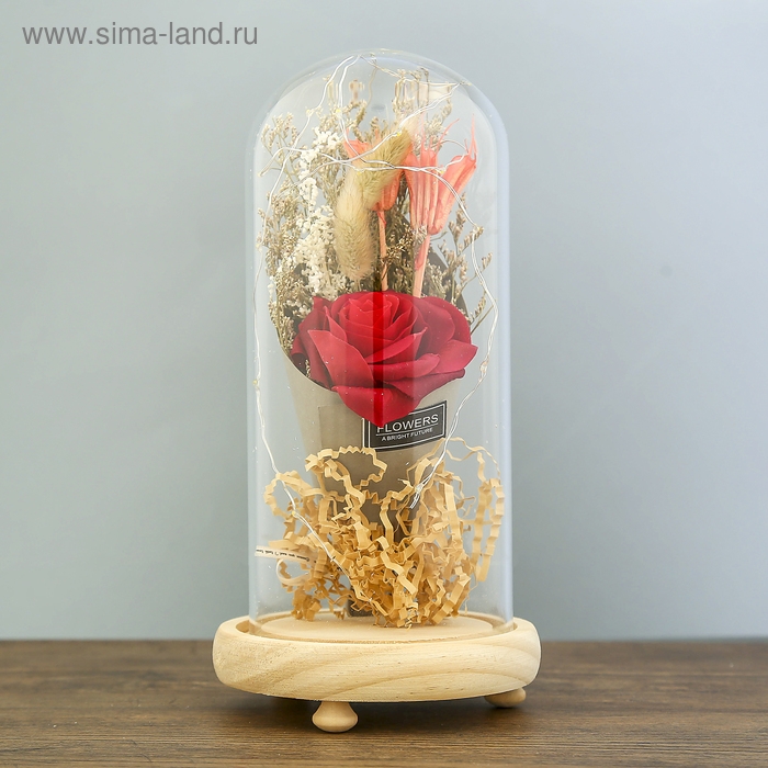 Ночник Ночник "Колба с розой в букете" LED 3ААА МИКС 23х11х11 см RISALUX