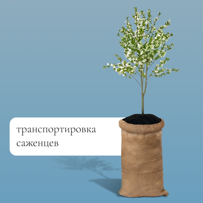 Мешок джутовый, 53 × 104 см, плотность 315 г/м², плетение 46 × 40 нитей, без завязок, ГОСТ Мешок джутовый, 53 × 104 см, плотность 315 г/м², плетение 46 × 40 нитей, без завязок, ГОСТ