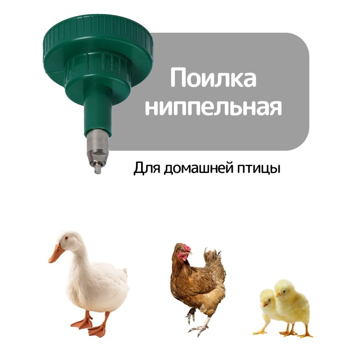 Поилка ниппельная для домашней птицы, под бутылку 0,5 и 5 л Поилка ниппельная для домашней птицы, под бутылку 0,5 и 5 л