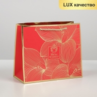 Пакет подарочный ламинированный, упаковка, &laquo;With best wishes&raquo;, 27 х 23 х 12 см