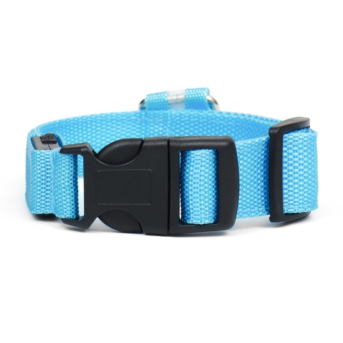 Ошейник с подсветкой, зарядка от USB, размер M, ОШ 37-46 см, 3 режима, голубой Ошейник с подсветкой, зарядка от USB, размер M, ОШ 37-46 см, 3 режима, голубой