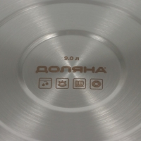 Кастрюля из нержавеющей стали &laquo;Грейт&raquo;, 9 л, индукция