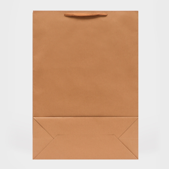Пакет крафт без печати, 50 x 70 x 20 см 210 г/м