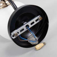 Бра 2198/1 E27 40Вт черно-золотой 22х13х16 см