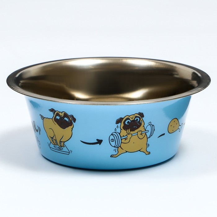 Миска стандартная Миска стандартная "Пижон. Коротко о диете", 450 мл