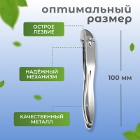 Кусачки - книпсер педикюрные, скошенное лезвие, 10 см, цвет серебристый Кусачки - книпсер педикюрные, скошенное лезвие, 10 см, цвет серебристый