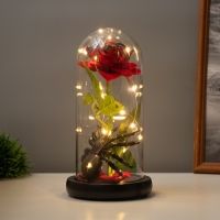 Светильник колба «Паук с розой» 1,5Вт, LED, 3xAAA, черный USB 11х11х21см Светильник колба «Паук с розой» 1,5Вт, LED, 3xAAA, черный USB 11х11х21см