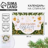 Календарь 2025 настенный, на спирали &laquo;Новый год: Добро пожаловать&raquo;, 34 х 24 см
