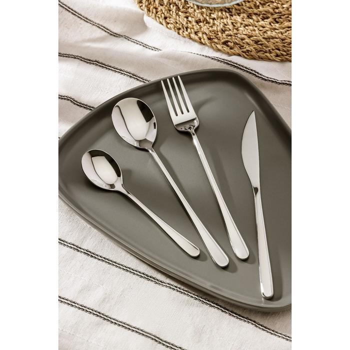 Столовые приборы из нержавеющей стали Magistro &laquo;Дина&raquo;, 4 предмета, цвет серебряный
