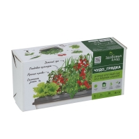 Гидропонная грядка, домашняя, «Чудо грядка» Гидропонная грядка, домашняя, «Чудо грядка»