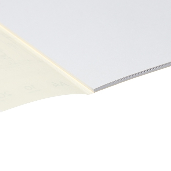 Альбом для черчения А4, 10 листов, блок 200 г/м&sup2;, на клею, ErichKrause, без рамки