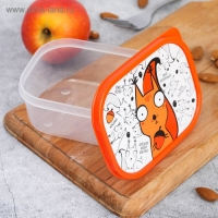 Ланч-бокс &laquo;Белка&raquo;, 0.5 л