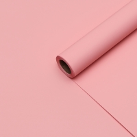 Пленка для цветов тонированная, матовая, лосось пастель, 0,5 х 10 м, 65 мкм Пленка для цветов тонированная, матовая, лосось пастель, 0,5 х 10 м, 65 мкм