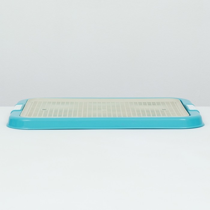 Туалет для собак, 51 х 38 х 3 см, голубой