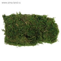 Мох для декора 50 гр зелёный Мох для декора 50 гр зелёный