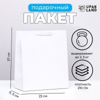 Пакет ламинированный &laquo;Белый&raquo;, ML 23 &times; 27 &times; 11.5 см