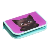 Пенал 1 секция 140 х 210 х 40 мм, откидной карман и косметичка, тканевый, Calligrata TOP Content "Котик" Пенал 1 секция 140 х 210 х 40 мм, откидной карман и косметичка, тканевый, Calligrata TOP Content "Котик"