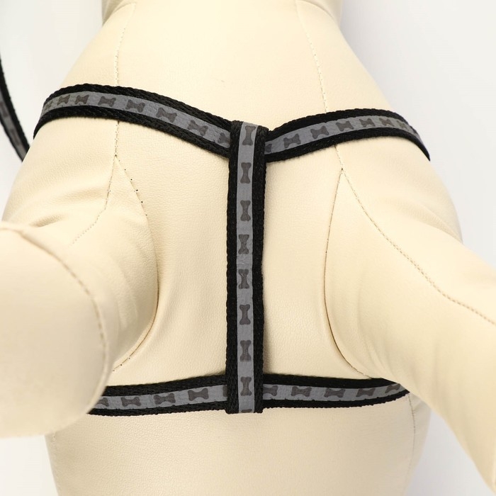 Комплект светоотражающий "Косточки", поводок 1 х 120 см (ОШ 22-34 см ,ОГ 22-34 см) чёрный