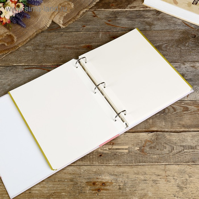 Фотоальбом магнитный 50листов 23X28см "Stretch of imagination"