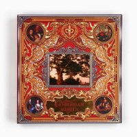 Родословная книга с рамкой под фото &laquo;Семейная книга&raquo;, 50 листов, 21,5 х 23,7 см.