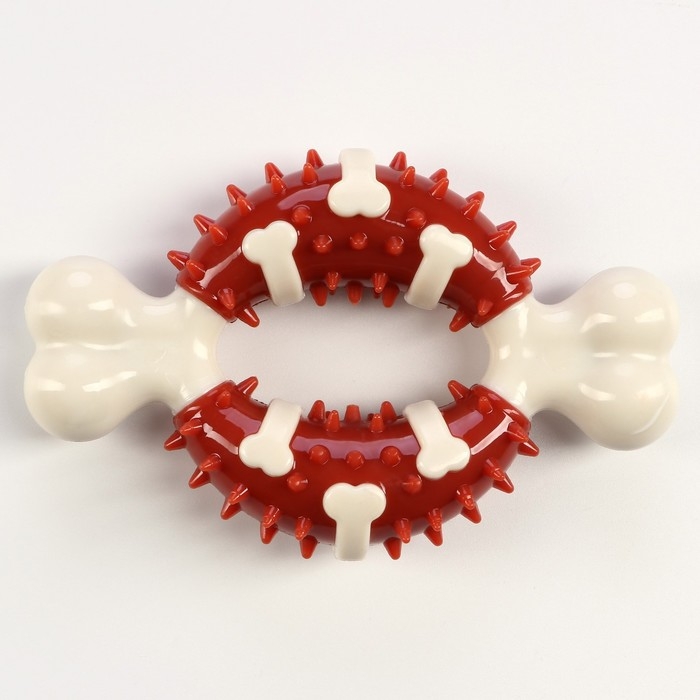 Игрушка для собак Игрушка для собак "Кость" Пижон Premium, 12,5 см, TPR+нейлон