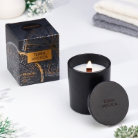 Ароматическая свеча "Breesal, TERRA MYSTICA", Апельсин, Груша, Ягоды Ароматическая свеча "Breesal, TERRA MYSTICA", Апельсин, Груша, Ягоды