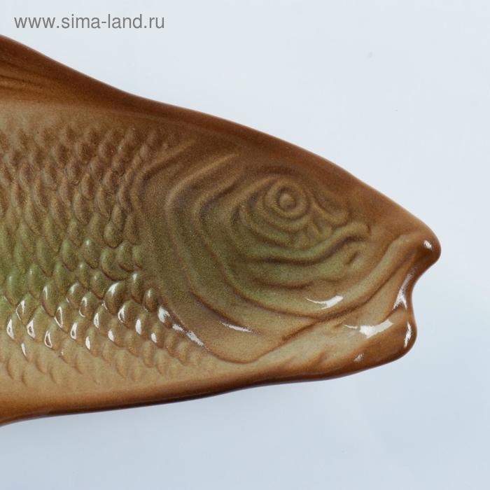 Блюдо Блюдо "Сельдь" 39см, цветная